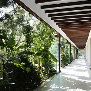 فندق The Lifeco Bodrum Well-being Detox Center&vegan, غولتوركبوكو